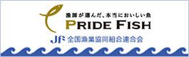 PRIDE FISH